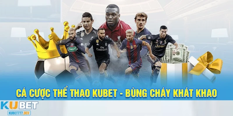 Các loại hình cá cược thể thao tại nhà cái