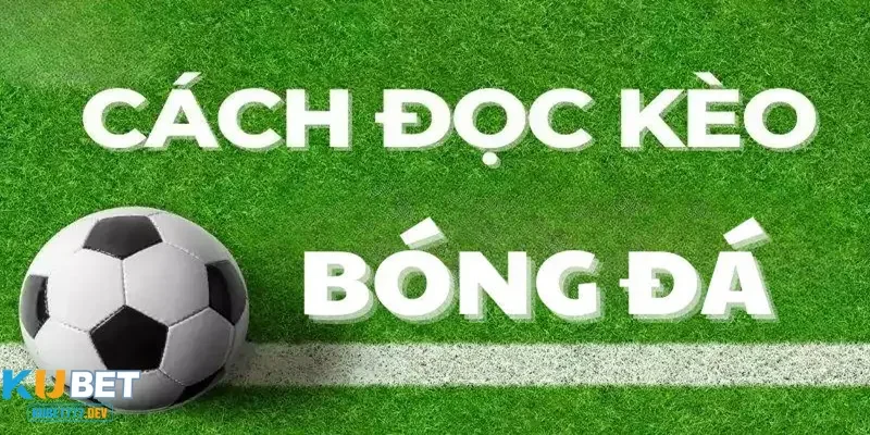 Vì sao nên biết về cách đọc kèo bóng đá?