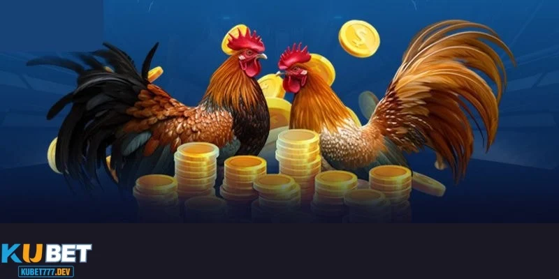 Điểm nổi bật khi tham gia đá gà