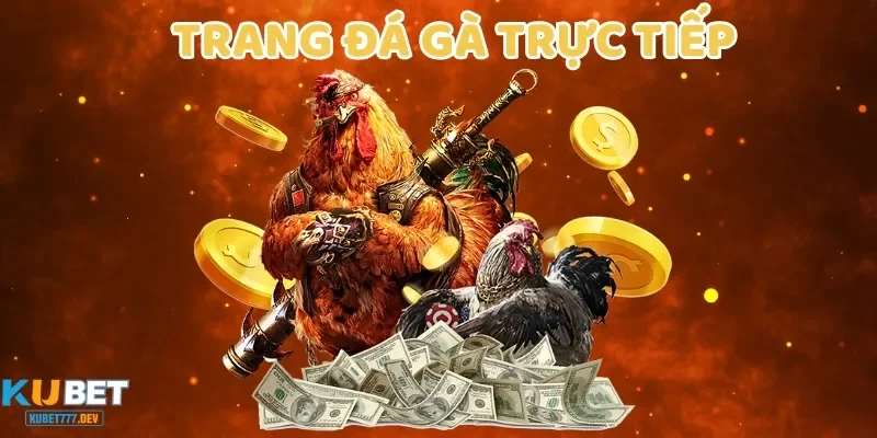 Giới thiệu cơ bản về các trang đá gà trực tiếp