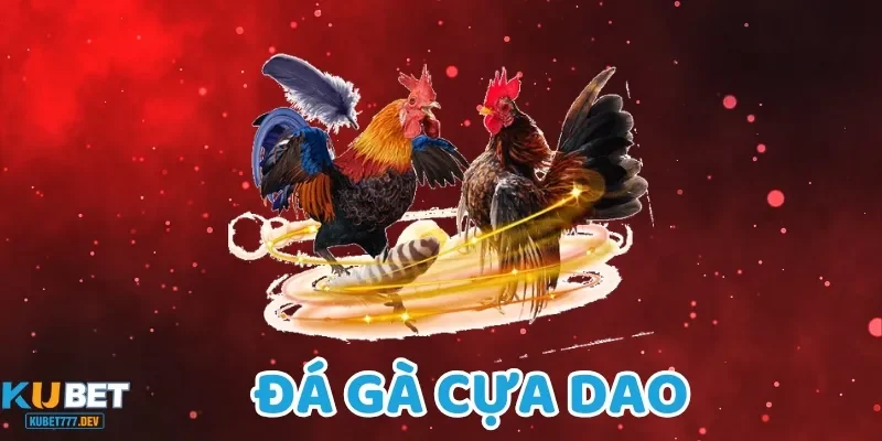 Đá gà cựa dao cũng là một trong những hình thức chơi cược hấp dẫn