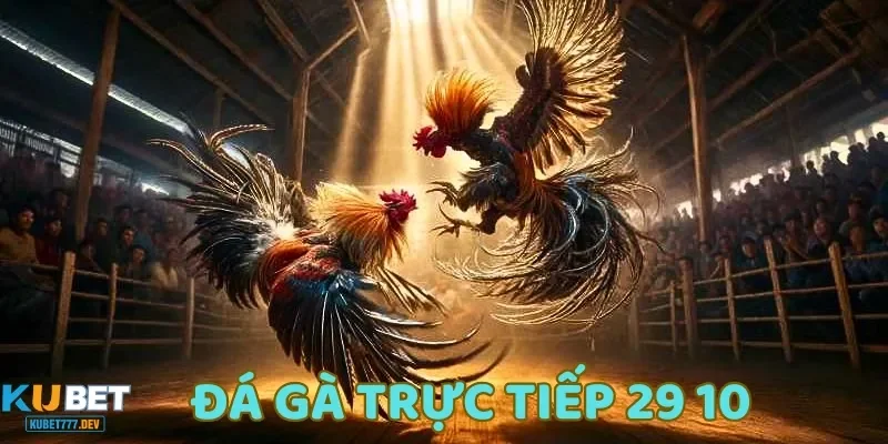 Các trận đấu ngày 29/10 đã tạo ra nhiều cảm xúc thu hút người xem