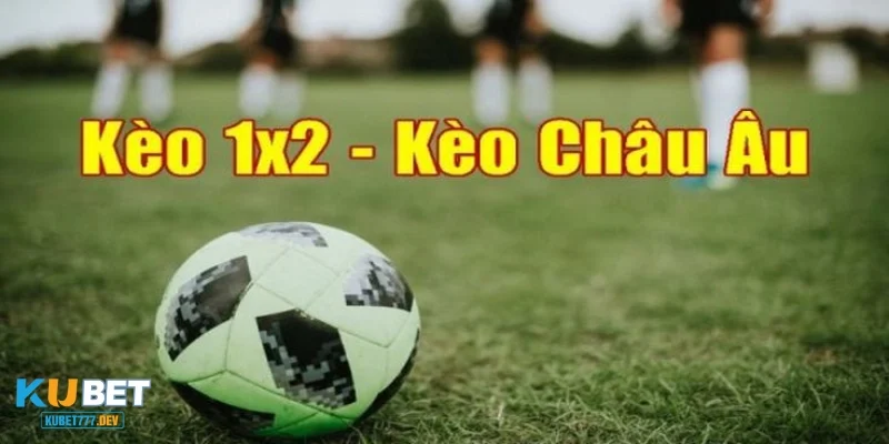 Kèo bóng đá 1/2 là sao trong các giải đấu và cách áp dụng
