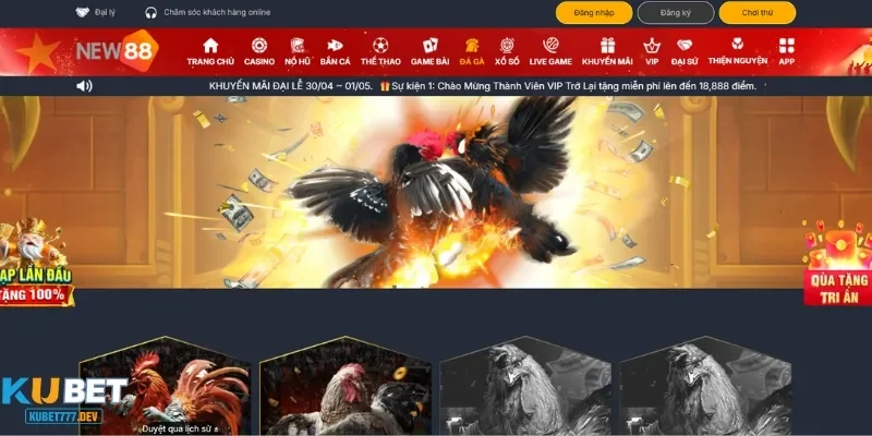New88 là một trong các web xem đá gà chất lượng mà bạn nên tham khảo