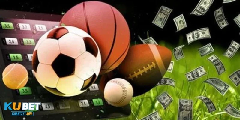 Tiêu chí chọn phần mềm soi kèo bóng đá miễn phí tốt nhất